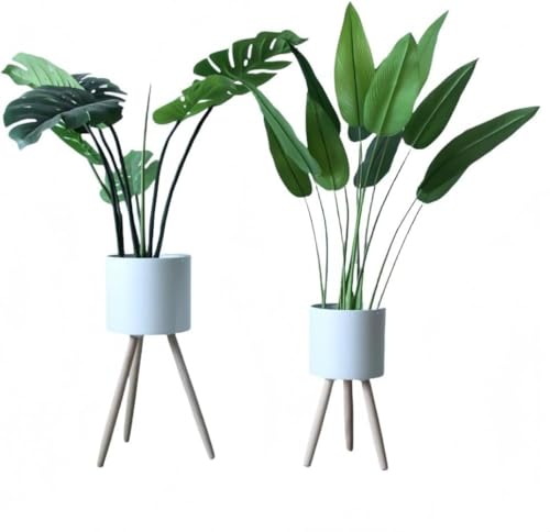 IWEJ kؐrtAؔJo[ fUC pt[X^h Av^[bN (~fBAi41cmj,zCg)