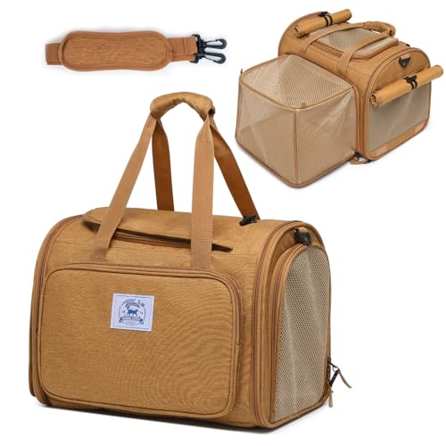 ybgobNpbNLA ^p ^L q ʋCƐ܂肽݉\ȃfUC |[^ugxobO Ђ𐶂₵hSAETM̃P[Wp(uE+V_[ASTCY)