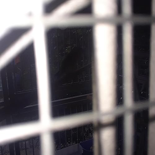 Emily's Post 04 - Doctor Cogs