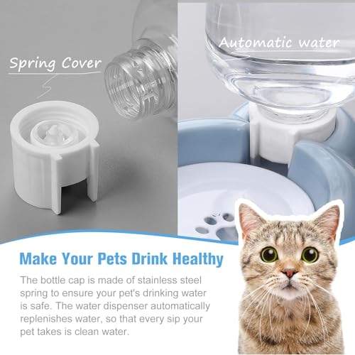Ensemble de gamelles pour nourriture et eau anti-renversement pour petits chats bleu