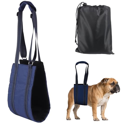 AIITLE pXO ^p - ʋC ߉\ ˃tgn[lXA㎈T|[g アVjAp ֐߉ & ACLpp(SAlCr[u[)