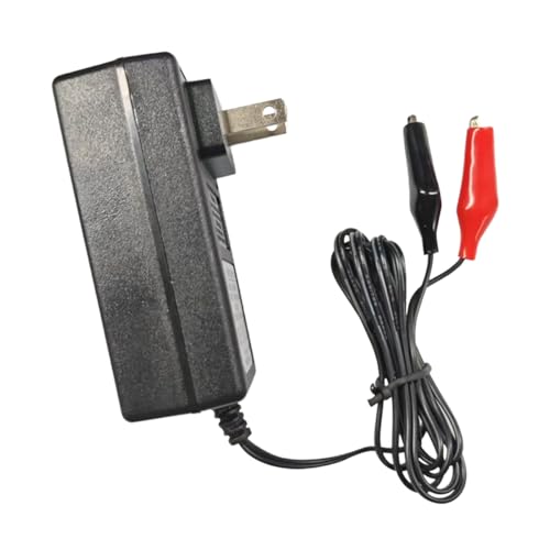 DUSCOKE 12V 2000mA Sealed Lead Acid (SLA) Battery Charger Maintainer, Battery Trickle Charger Automatic Car Charger Maintainer with Alligator Clips, Compatible with Car Motorcycle Truck