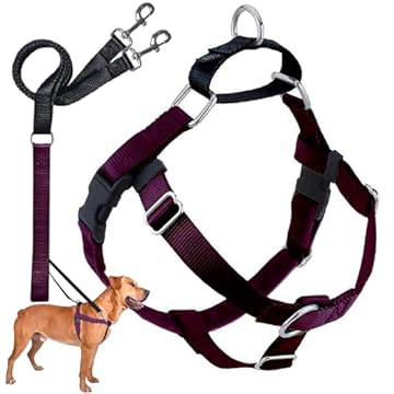 2 Hounds Design Arnês para cães Freedom sem puxar | Controle suave e confortável ajustável para fácil caminhada | para cães pequenos e médios | Feito nos EUA | Coleira incluída | 1" LG Burgundy