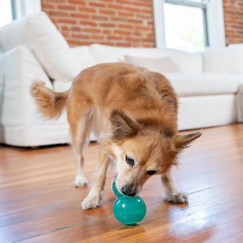 Outward Hound Double-Tuff Interaktives Leckerli-Füller, Kauspielzeug für Hunde, langlebiges Hundespielzeug, mittelgroß, Blau