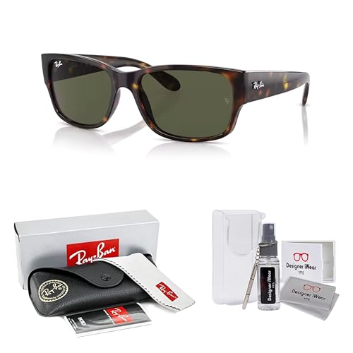 Ray-Ban RB4388 Square Sunglasses for Men for Women +BUNDLE with ACCESSORY EYEWEAR KIT2