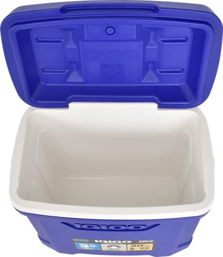 walk in cooler 2026 34