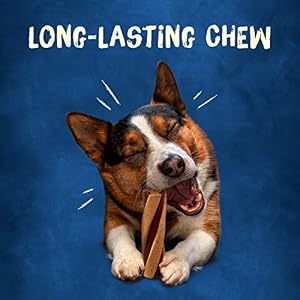 Purina Busy With Beggin' Made in USA Facilities Small Breed Dog Treats, Twist'd Mini - 12 ct. Pouch Purina Busy With Beggin’ Made in USA Facilities Small Breed Dog Treats, Twist’d Mini – 12 ct. Pouch