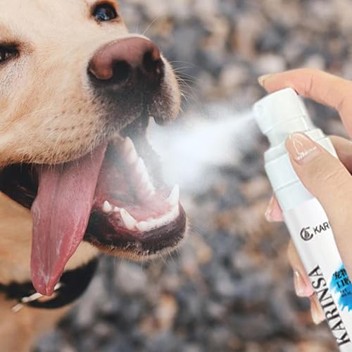 Spray de higiene bucal para gatos, spray de cuidado respiratório para animais de estimação - Spray d