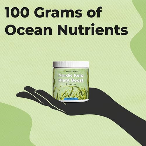 Fertilizante en polvo Nordic Kelp Plant Boost Perfect Plants miniatura 5