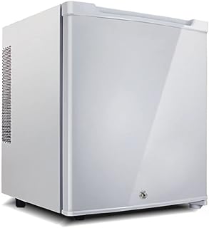 30L Mini Fridge For Bedroom Freestanding Refrigerator With Cold And Heating Electric Reefer Beverages & Wine Larder Fridge Adjustable Thermostat Lockable For Bedroom And Office(White)