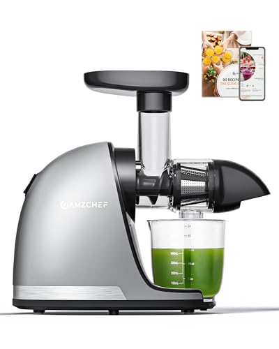 AMZCHEF Juicer Machines - Cold Press Juicer - Slow Masticating for Whole Fruits and Vegetables - Delicate Chew No Need to Filter - Classic Grey