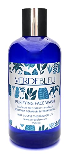 99% Natural GEL JABÓN FACIAL - RHASSOUL, ROMERO, INCIENSO & GERANIO - 250ml de VERDEBLEU Sin Sulfatos. pH 5.5 Equilibrado. Donamos el 5% de Ganancias para Ayudar a Salvar los Bosques Lluviosos Cover