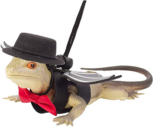 Valentine's Day Bearded Dragon Lizard Leash Harness Hat Bowtie Set - Valentine's Day Hat + Bowtie + 3 Pack Harness for… - Image 6