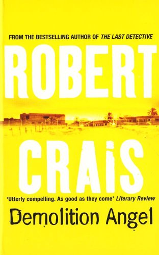 Demolition Angel 1407208365 Book Cover