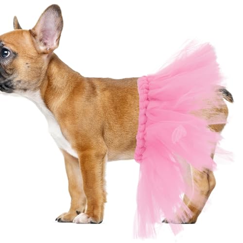 TEHAUX 2 pvZXhX `[XJ[g etBbg^p nEBo[iߑ ap[eB[ yb