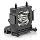 GreenBale Beamerlampe LMP-H210 Projektor Ersatzlampe für Sony LMPH210 VPL-HW65ES VPL-HW60ES VPL-HW45ES HW65ES HW60ES HW45ES Projektor Beamer Lampe