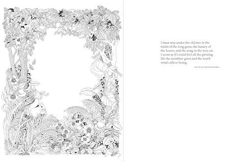 A Walk in the Woods: An Intricate Coloring Book - Image 5