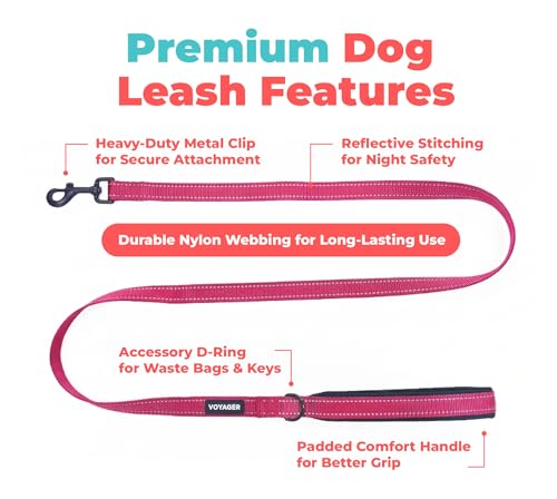 Image of Voyager Reflective Dog Leash with Neoprene Handle, 5ft Long, Supports Small, Medium, and Large Breed Puppies, Cute and Heavy Duty for Walking, Running, and Training - Fuchsia, S