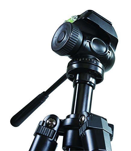 Celestron Hummingbird 56mm Angled Spotting Scope + Trípode miniatura 7