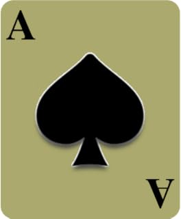 Callbreak Multiplayer