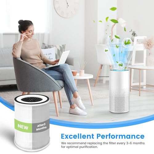Image of 2 Pack True HEPA Kilo Filter Replacement for Afloia Kilo, KILOPLUS, KILOPRO, MIRO, MIRO PRO and MORENTO MR-Kilo, Kalo, H13 True HEPA Filter, 360 3-Stage Filtration, Green