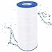 PELLUCID Cartridge Pool Filter Compatible with Jandy CS150, R0462300, PJANCS150, Unicel C-8414, C-8317, Filbur FC-0822, FC-1273, FC-1287, Hayward C1502, Easy to Clean and Reuse -1PACK