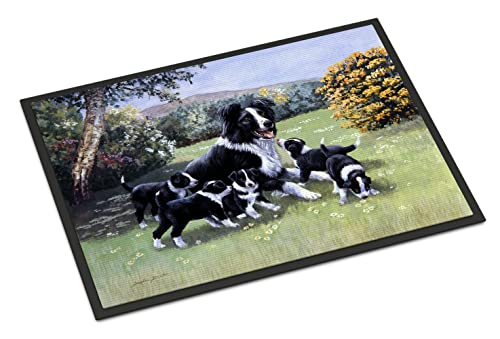 Caroline's Treasures BDBA0257JMAT Border Collie Puppies with Momma Doormat 24x36 Front Door Mat Indoor Outdoor Rugs for Entryway, Non Slip Washable Low Pile, 24H X 36W