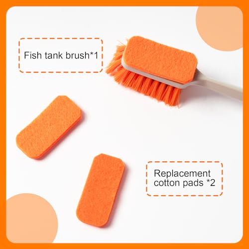 Image of Small Fish Tank Cleaner Brush, Algae Scraper for Aquarium, Glass Aquarium Cleaning Tool, Fish Tank Cleaner Adapted for Glass and Acrylic Aquariums