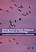 Making Sense of Death, Dying and Bereavement: An Anthology (Published In Association With The Open University)