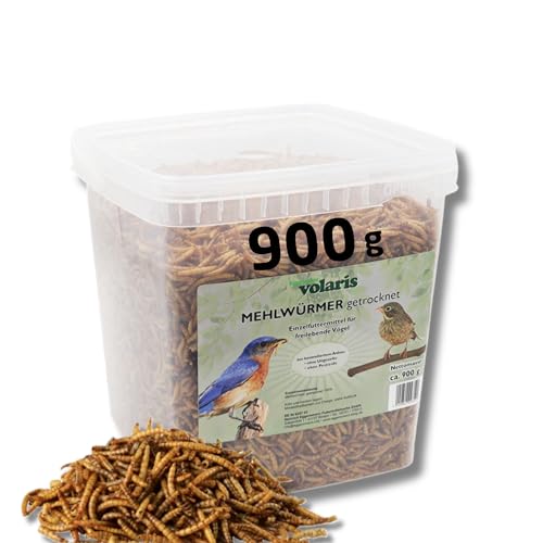 Eggersmann volaris 900 g de gusanos de harina secos, ricos en proteínas y naturales, ideal para todo tipo de aves, alimento para aves silvestres durante todo el año