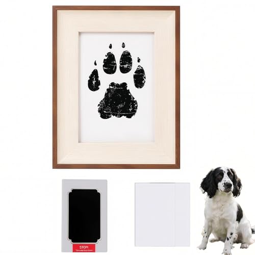 Lifetips CObVEXvK[EXpjG ybgp  X^v Lbg ^  ``X^v `쐬Lbg LO  Ȃ `    ` ^ ȒP S y Ճpbh IWi vg 