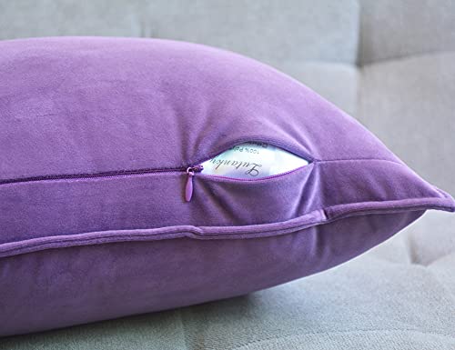 Lutanky Velvet Cushion Covers 30 x 50 cm Violet Decorative Rectangle Throw Pillow Cover (Pack of 2) Soft Oblong Piped Pillowcases for Sofa Bedroom with Invisible Zipper 12x20 Inch - Image 3