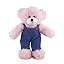 Pink Bear