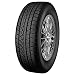 Produktbild Petlas Snowmaster W651 - 245/40R17 95V - Winterreifen