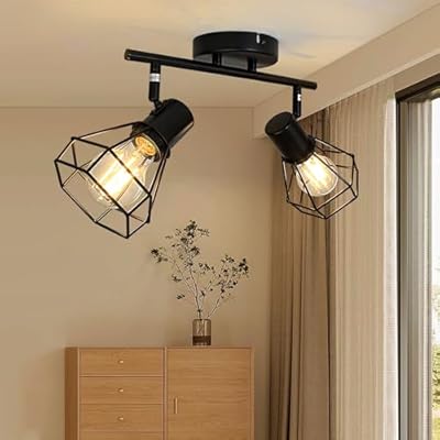 LTBLIGHT LED Track Lighting Kit, 2-Light Directional Ceiling Light Fixture, Black Metal Wire Cage Ceiling Spot Lighting Fitting for Kitchen, Bedroom, Art Wall, E26 Base, Bulbs Not Included