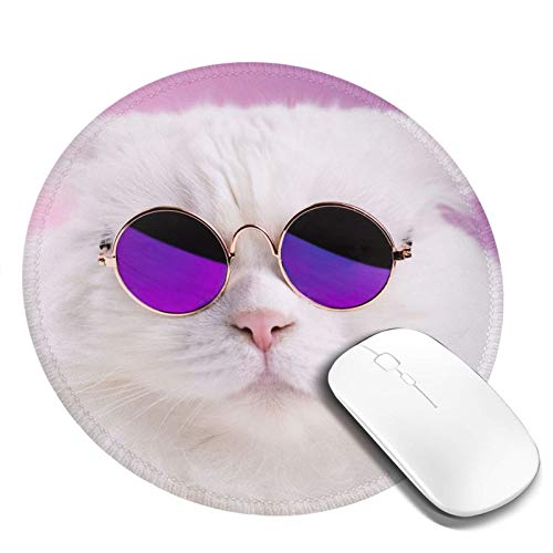 DADABULIU }EXpbh ~` ` L t@bV L lR ʐ^  Q[~O S w}EXΉ ~ ϋvǂ  킢 h TCo[JtF ItBXœK Kxȕ\ʖC aF20cm