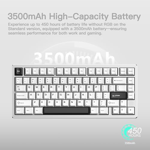 Image of KEEBMONKEY WOBKEY Rainy 75 CNC Aluminum HMX /JWK /Cocoa Switches Triple-Mode Connectivity Mechanical Keyboard with Superior Acoustics, No RGB /PP /Mirrored Glass /3500mAh /Violet Switch (Lite - Silver)