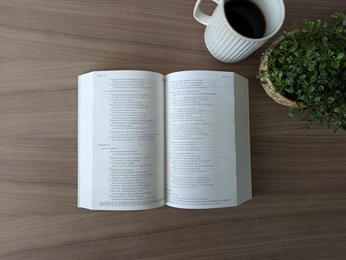 The One Year Chronological Bible NIV (Softcover) - Image 5