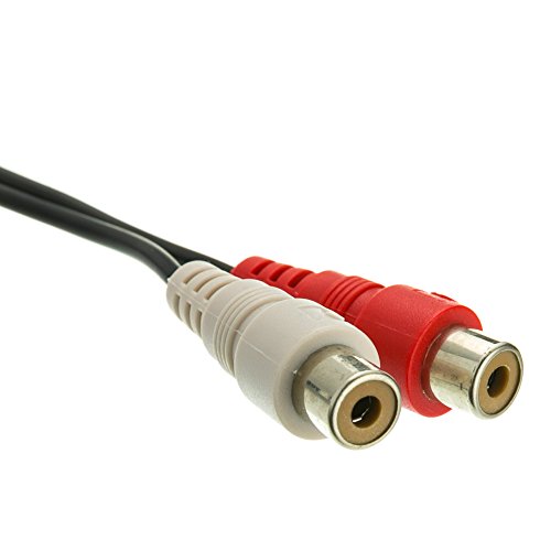 CableWholesale Adaptador Mono 1/4 pulg a RCA Dual 6 pulg miniatura 2