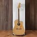 Fender Redondo Player Acoustic Guitar, with 2-Year Warranty, Bronze Satin, Walnut Fingerboard