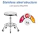 Heavy Duty Stainless Steel Stool for Work Bench, Adjustable Swivel Stool with 5 Wheels, 304 Stainless Steel Structure, Round Cushion, Load-Bearing 440 Ib