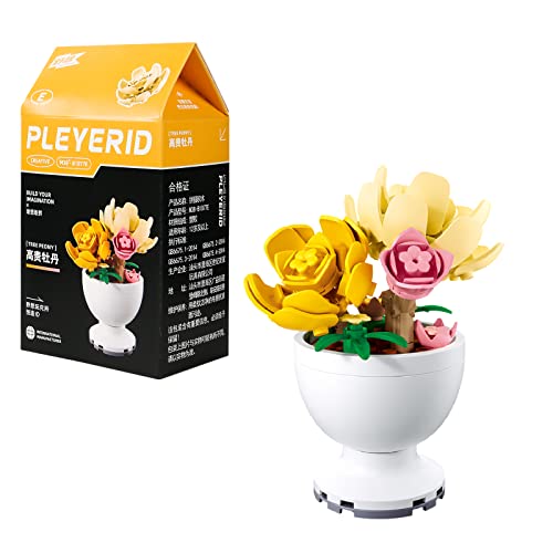 JUNENTER ~jt[~̓rfBOubNZbg NGCeBuV~[V|bgvglHqARNV݃rfBOK 킢z[fR[V 6Έȏ (O)