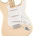 Fender Jimmie Vaughan Tex-Mex Stratocaster - Olympic White Bundle with Gig Bag, Strap, Cable, and Guitar Cleaning Kit