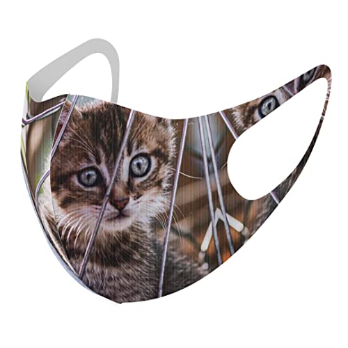 [igsticker] �f�U�C�� �}�X�N �Q���Z�b�g �|���G�X�e�� �􂦂� �z�}�X�N XL�T�C�Y �傫�� �j���p 025949 ���� �L �l�R �ԗ�