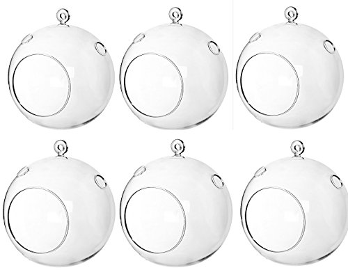 Sea View Treasures 6 Bulk 4” Round Glass Decorative Hanging Craft Balls/Terrarium