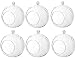 Sea View Treasures 6 Bulk 4" Round Glass Decorative Hanging Craft Balls/Terrarium