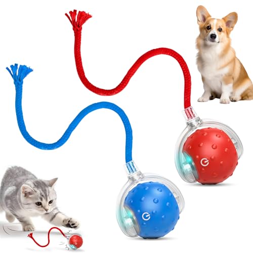 RunBuxd 2Pcs Tinyfetch Dog Toy Interactive Dog Cat Toys Balls with Birdsong Rechargeable 360 Smart Automatic Rolling Electric Dog Ball Toy with Rope for Pets Indoor & Outdoor Play (Red+Blue)