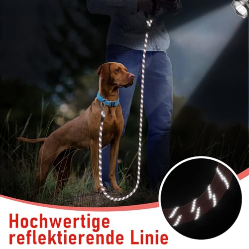 X XBEN Schleppleine für Hunde,10M Starke Hundeleine mit Bequemen Gepolsterter Griff, Trainingsleine Laufleine für Kleine Mittlere Große Hunde, Abschließbarer Karabiner