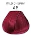 Adore Semi Permanent Hair Color - Vegan and Cruelty-Free Red Hair Dye - 4 Fl Oz - 069 Wild Cherry (Pack of 2)
