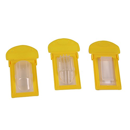 Image of Invicta 77883 Biodegradability Classroom Kit